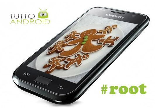 Sgs gingerbread root