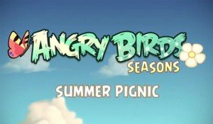 Angyr birds summer