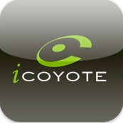 Logo icoyote