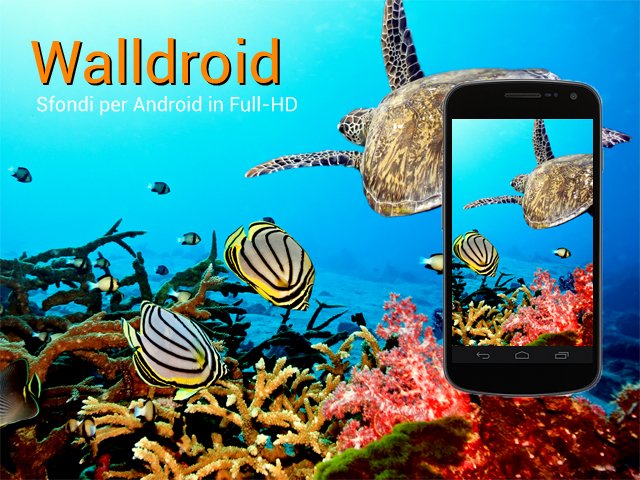 Walldroid finale