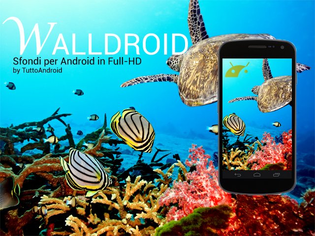 Walldroid evidenza1