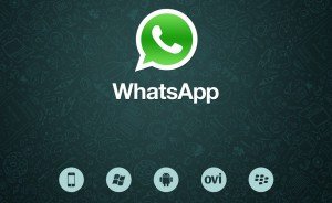 Whatsapp windows phone header logo
