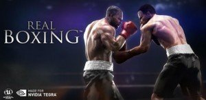 Real boxing.png