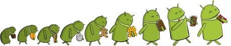 2012.11.30 android evolution