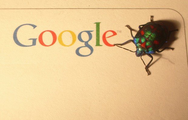 google bug