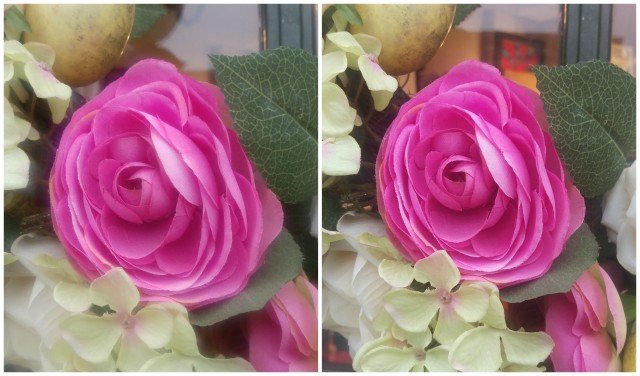 M9-Photo-Comparison-Flowers-640x376