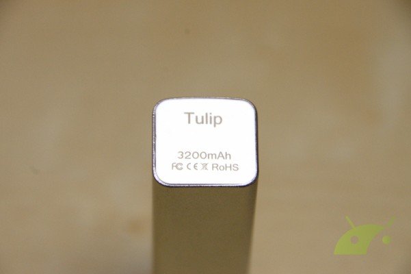 Vinsic-Tulip-5