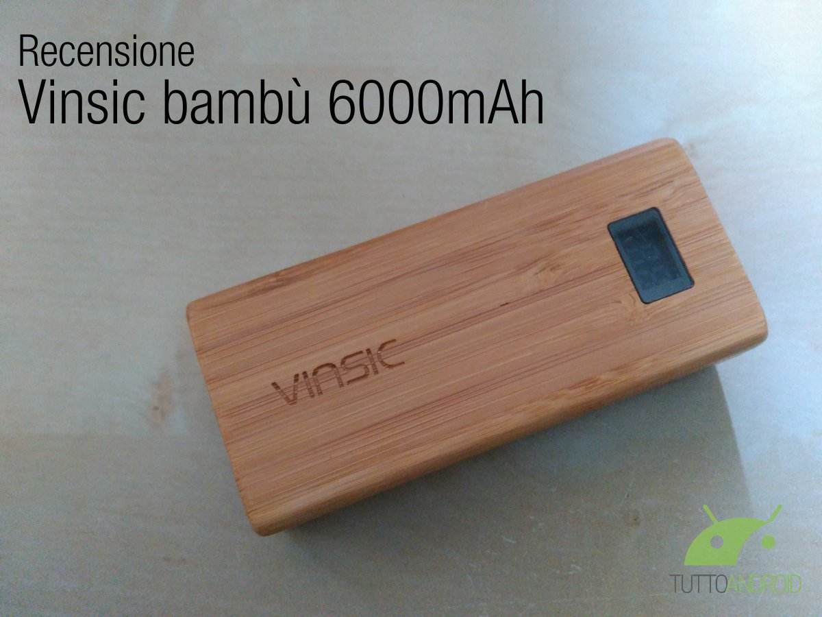 Vinsic bambù 1