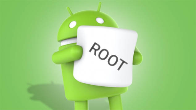 m-developer-preview-root