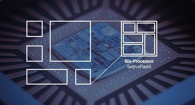 Samsung_bio