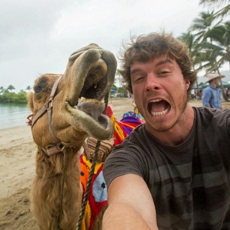 Alan Dixxon animal selfies 2