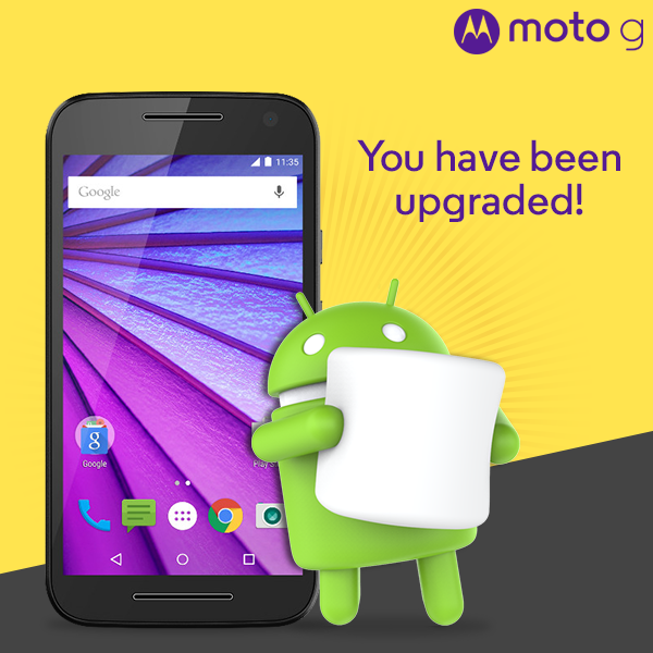 MotoG Marsh