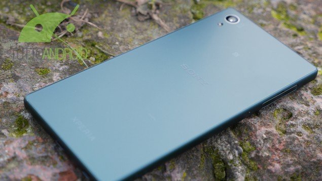 z5imm1