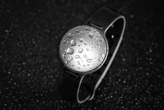 Misfit Speedo Shine 2