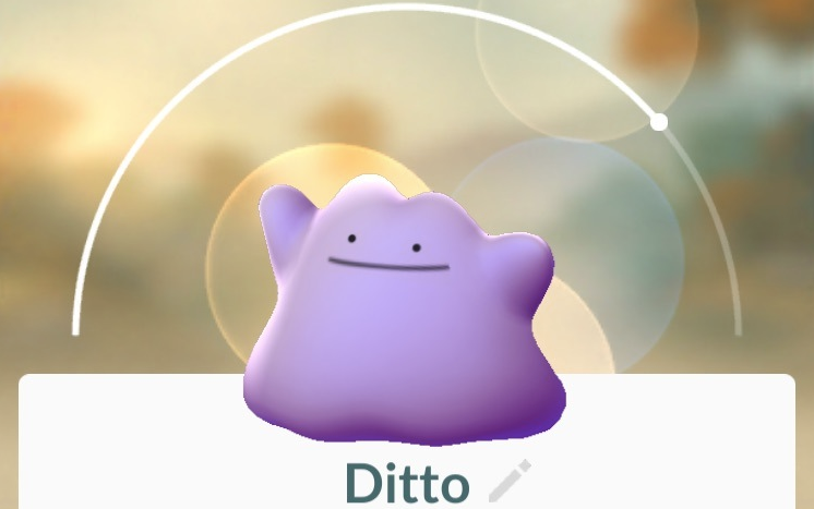 Ditto ora è in Pokémon GO: ecco come catturarlo