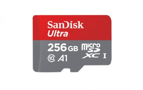 SanDisk 256GB A1