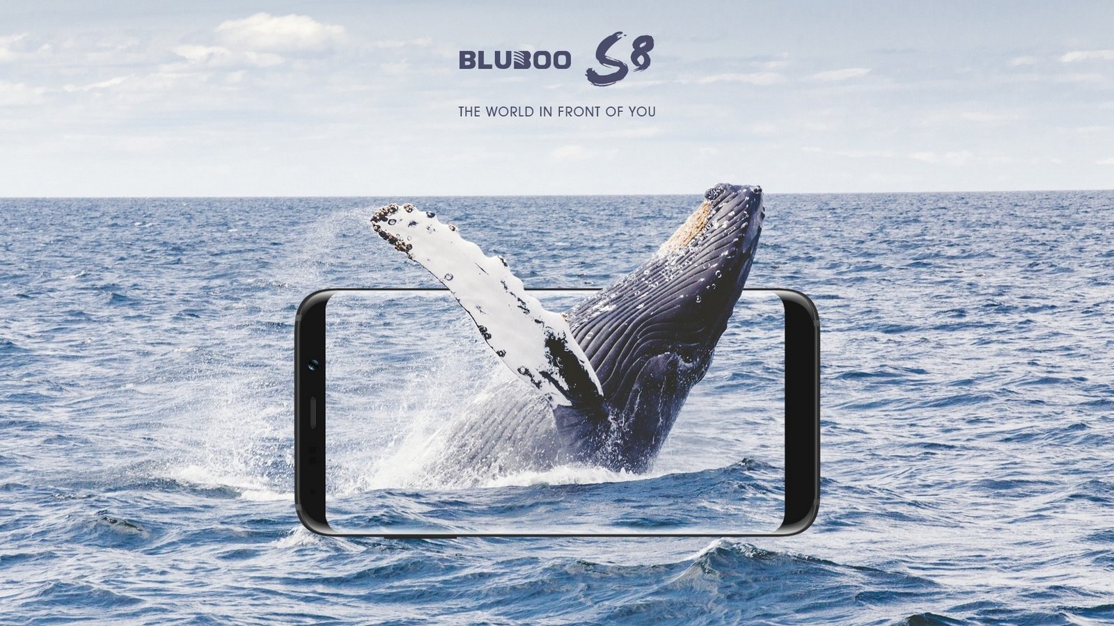Bluboos8 pre
