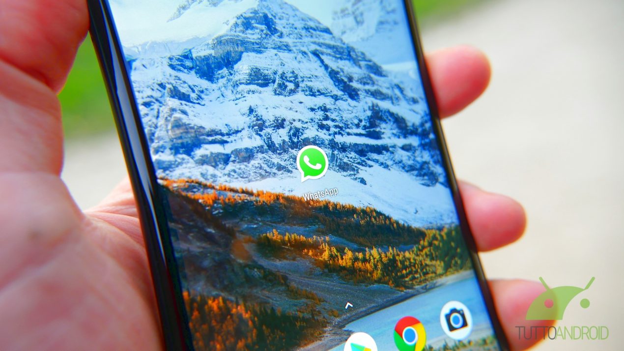 La seconda app non di Google a superare 5 miliardi di installazioni è quella che più usate