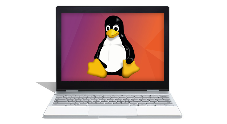 replacing chrome os with linux replacing chrome os with linux