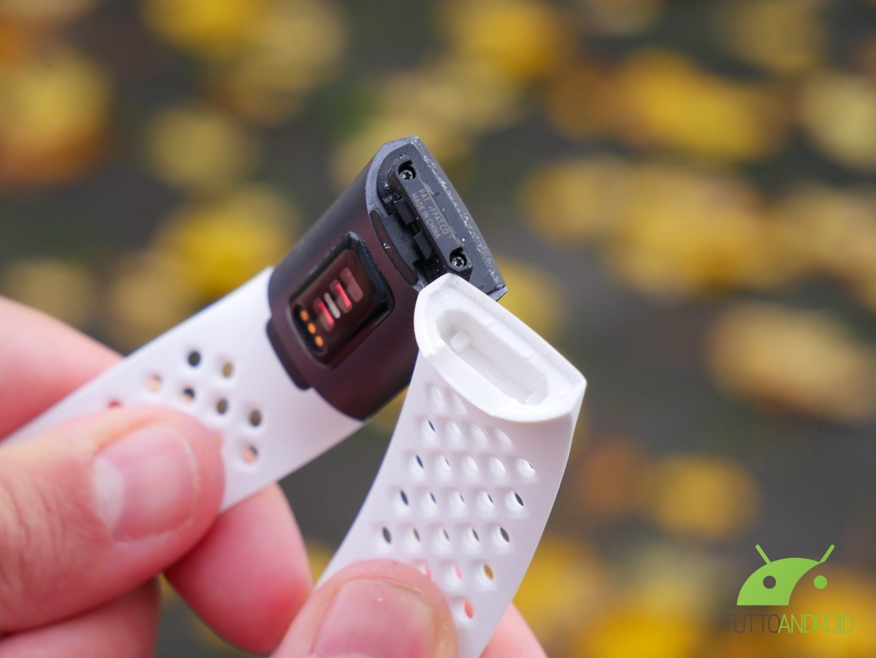 Il Google Store si allarga e accoglie tanti accessori per i prodotti Fitbit