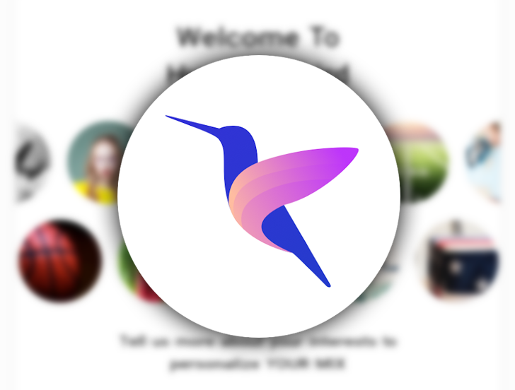 Hummingbird