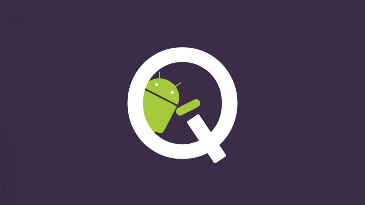 Android Q DM