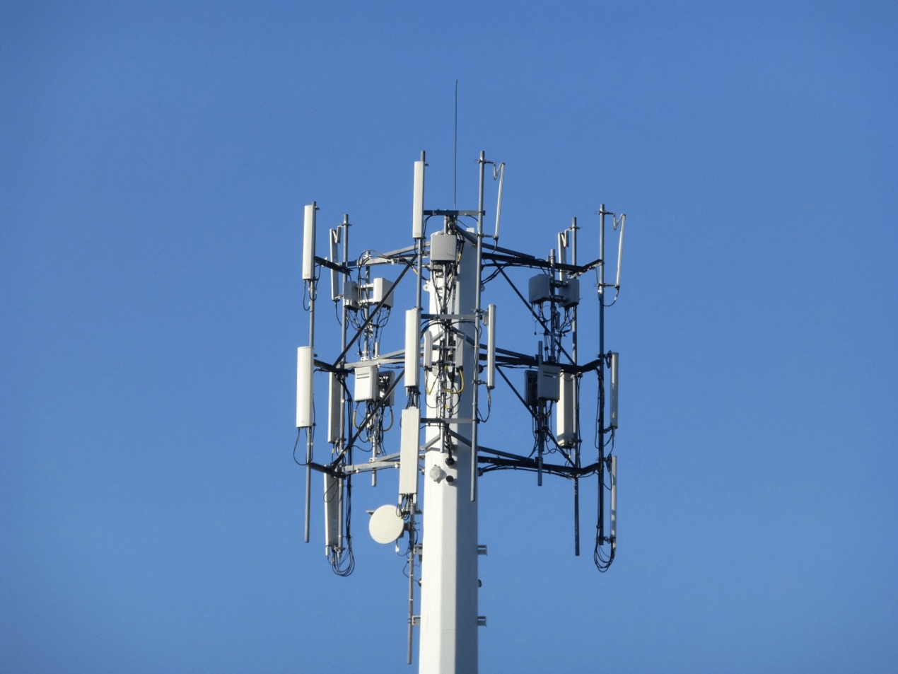 Il miglior operatore in Italia si conferma Vodafone, il peggiore Iliad: i dati di nPerf
