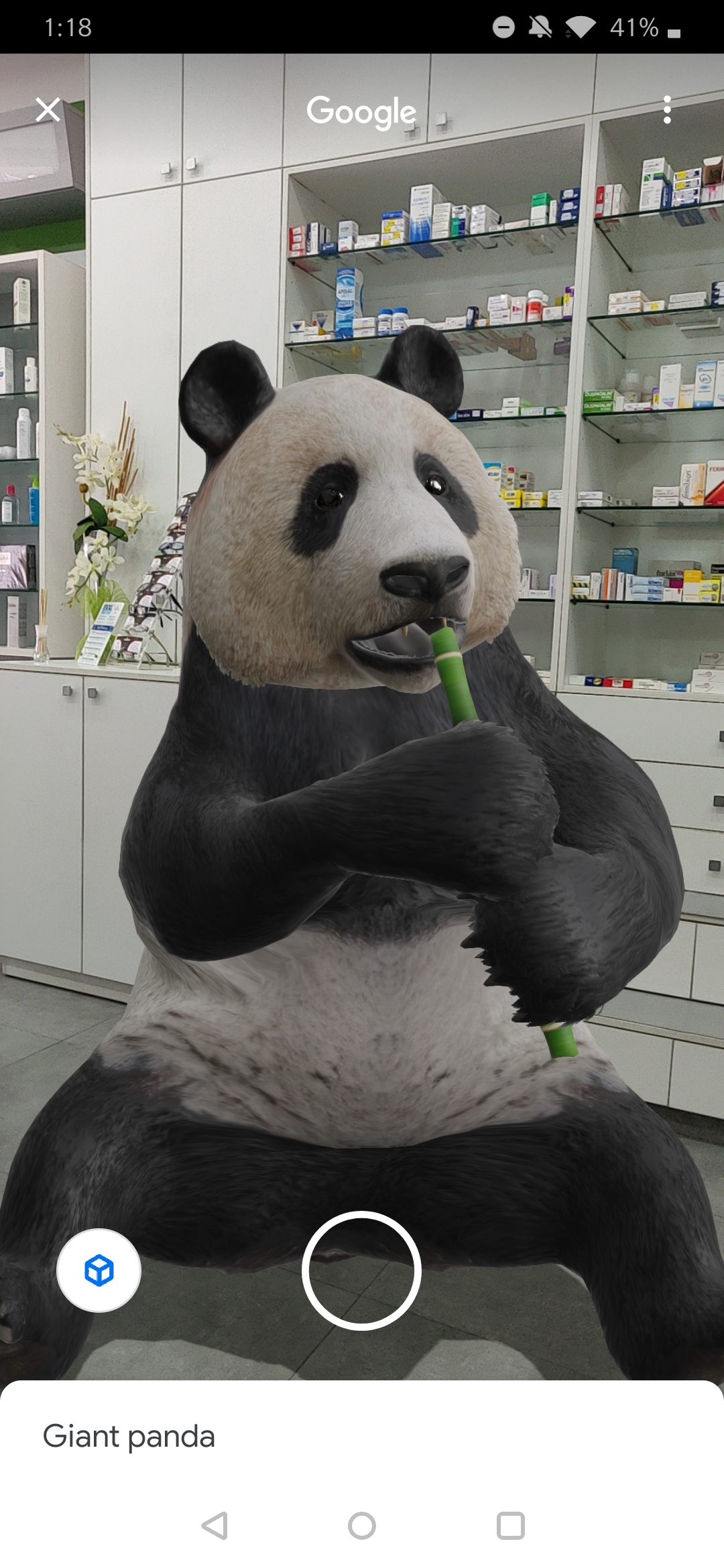 Mettete uno squalo, un serpente o un panda nel salotto con i nuovi modelli  3D della Ricerca Google