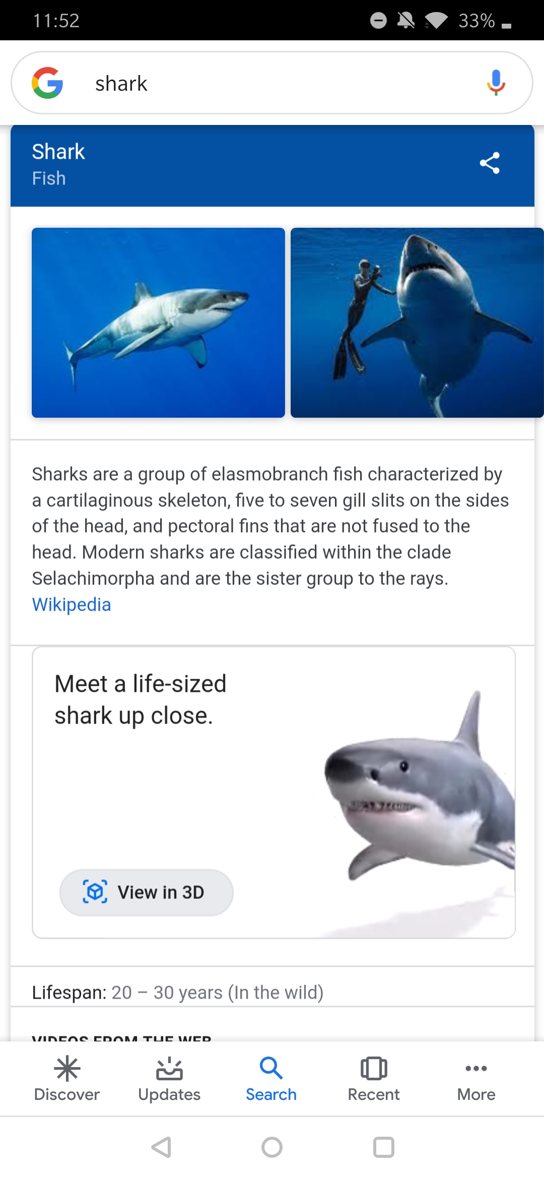 Mettete uno squalo, un serpente o un panda nel salotto con i nuovi modelli  3D della Ricerca Google
