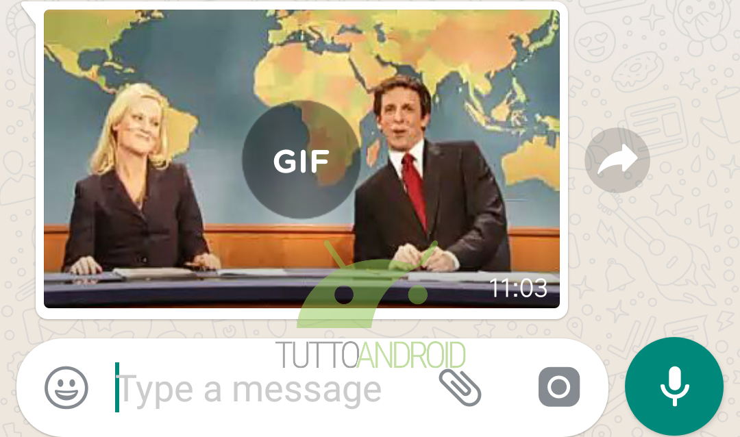WhatsAppNoGIF TTA e1567720579758