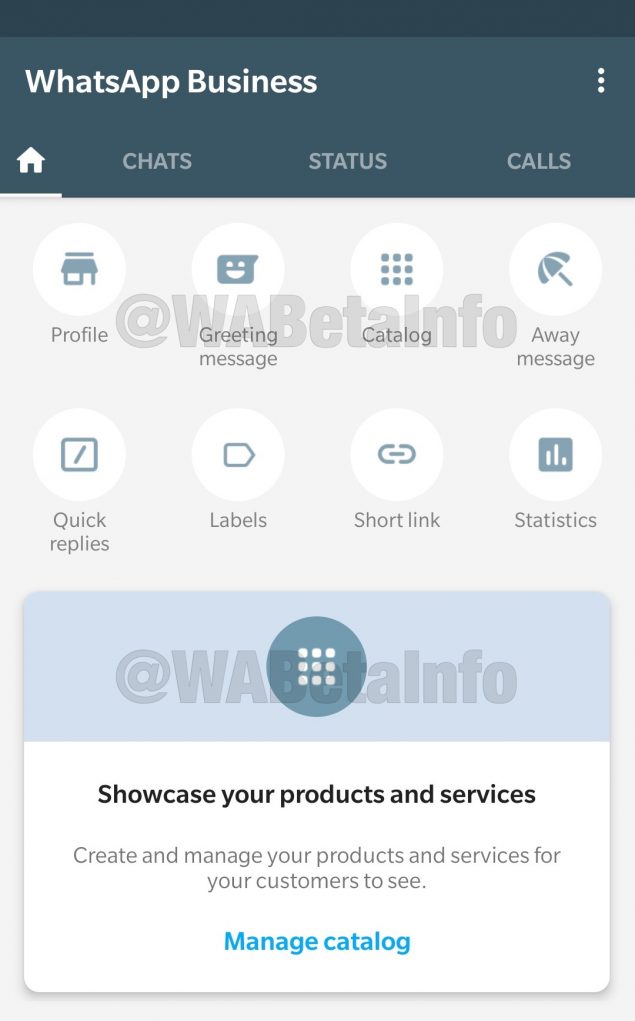 whatsapp business beta cards schermata home