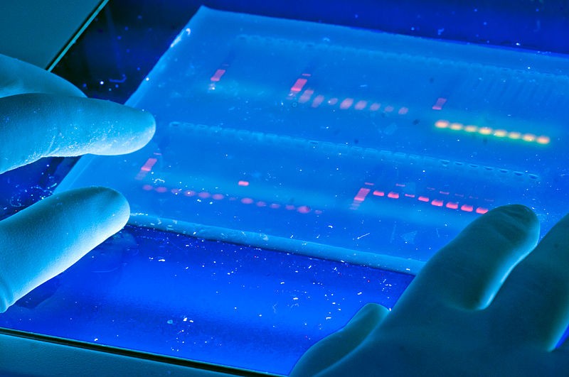Il proprio DNA immagazzinato all'interno dello smartphone? Il gruppo MPEG ci sta seriamente pensando