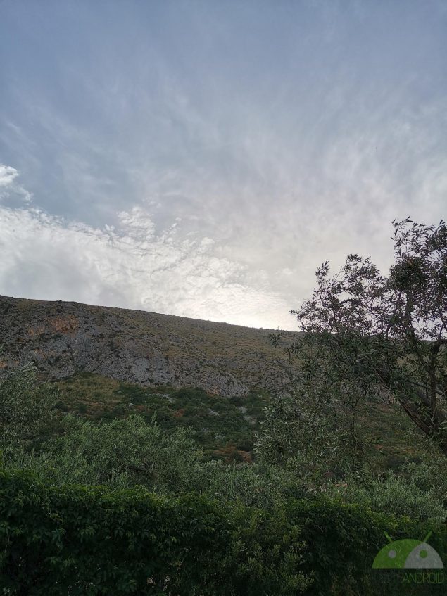 Foto di HONOR 9X Pro