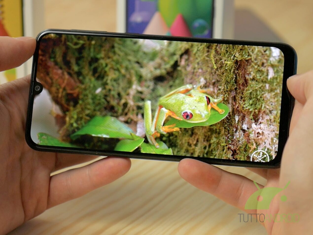 Samsung rilancia Galaxy M21 con l'edizione 2021