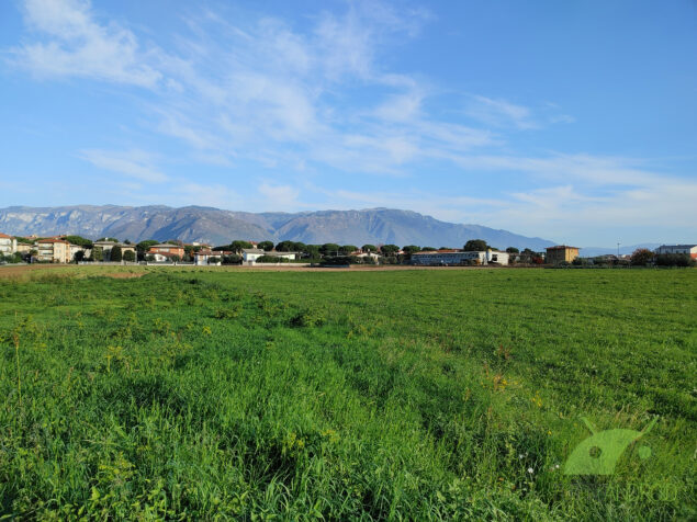 Recensione LG Wing foto sample
