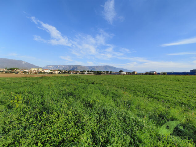 Recensione LG Wing foto sample