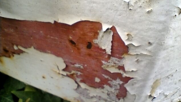 Moto-g10-motorola-fotocamera-tta-7