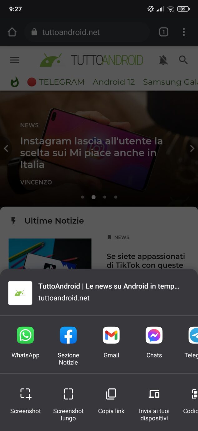 google chrome screenshot estesi