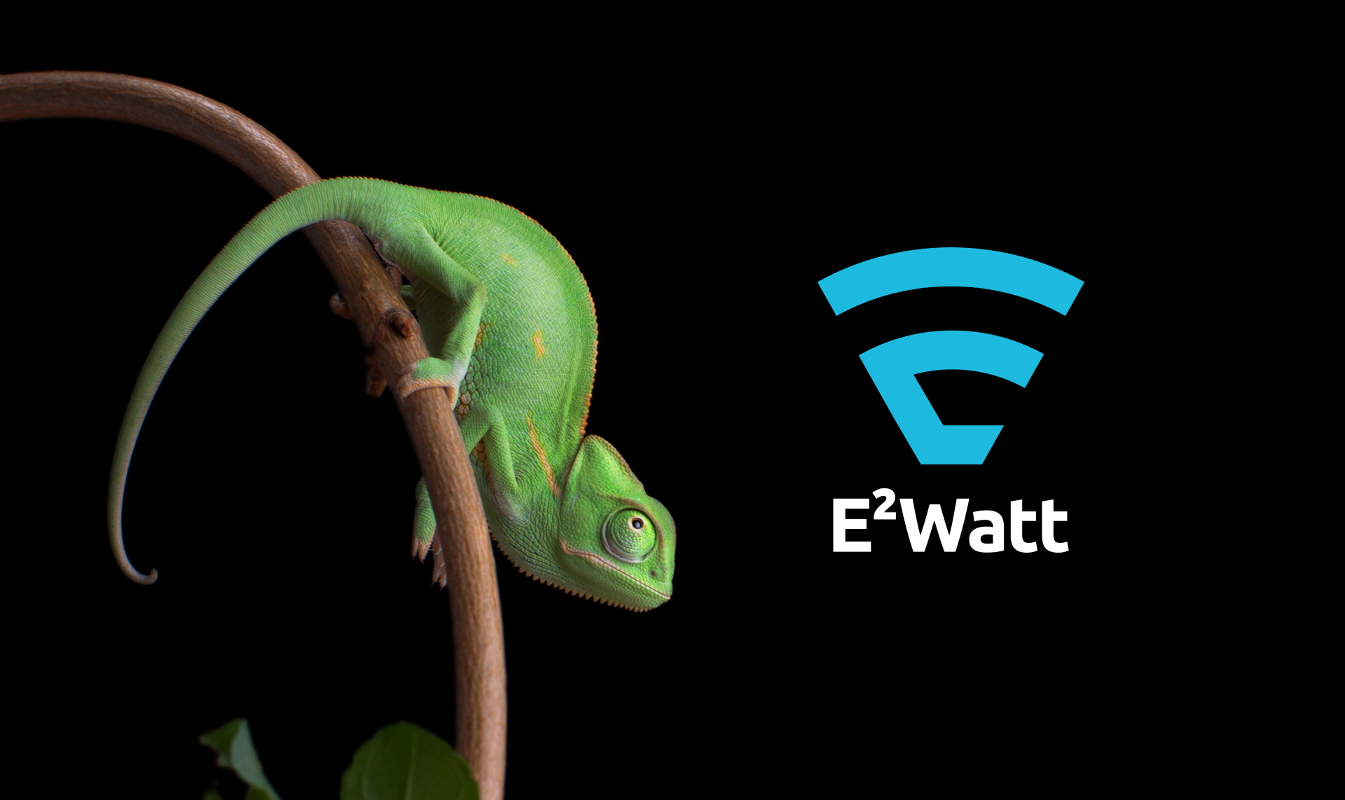 Eggtronic presenta E2WATT, la tecnologia wireless che vuole rivoluzionare tutto Eggtronic presenta E2WATT, la tecnologia wireless che vuole rivoluzionare tutto