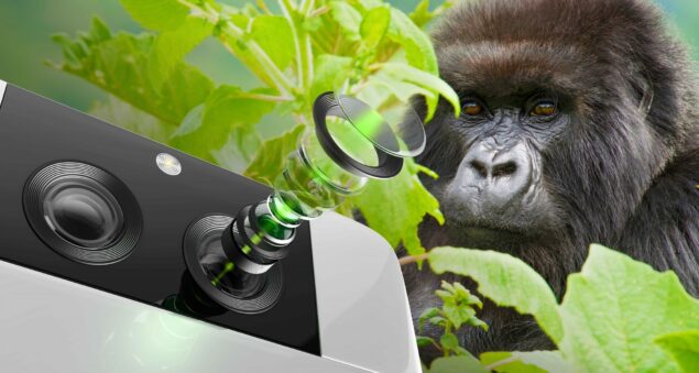 Gorilla Glass DX