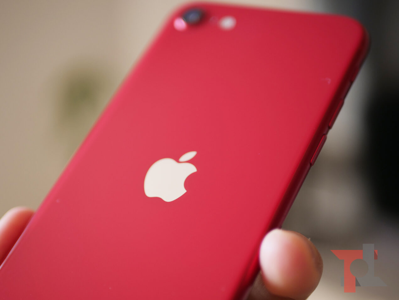 Xiaomi e Realme chiedono ai fan se vorrebbero la Dynamic Island di iPhone 14 Pro