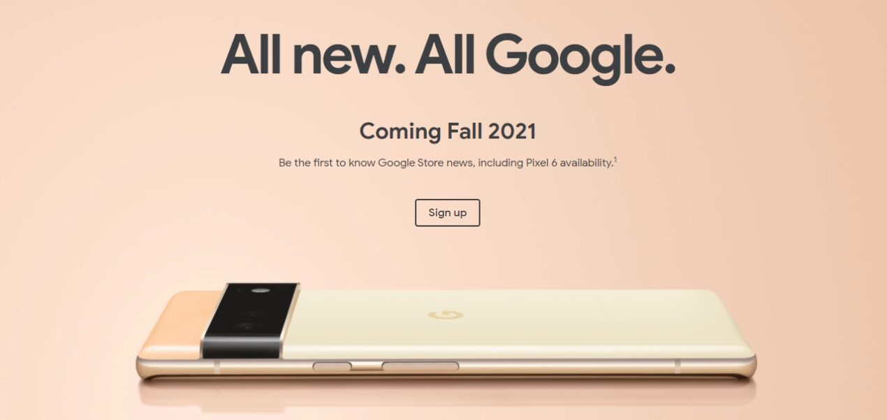 Google esce allo scoperto su Pixel 6 e 6 Pro: immagini ufficiali e chip