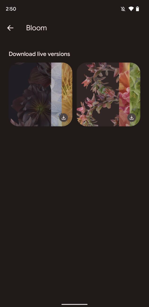 Google Pixel 6 Bloom