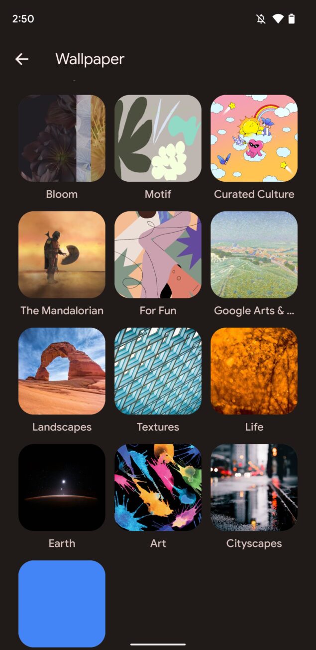 Google Pixel 6 Bloom