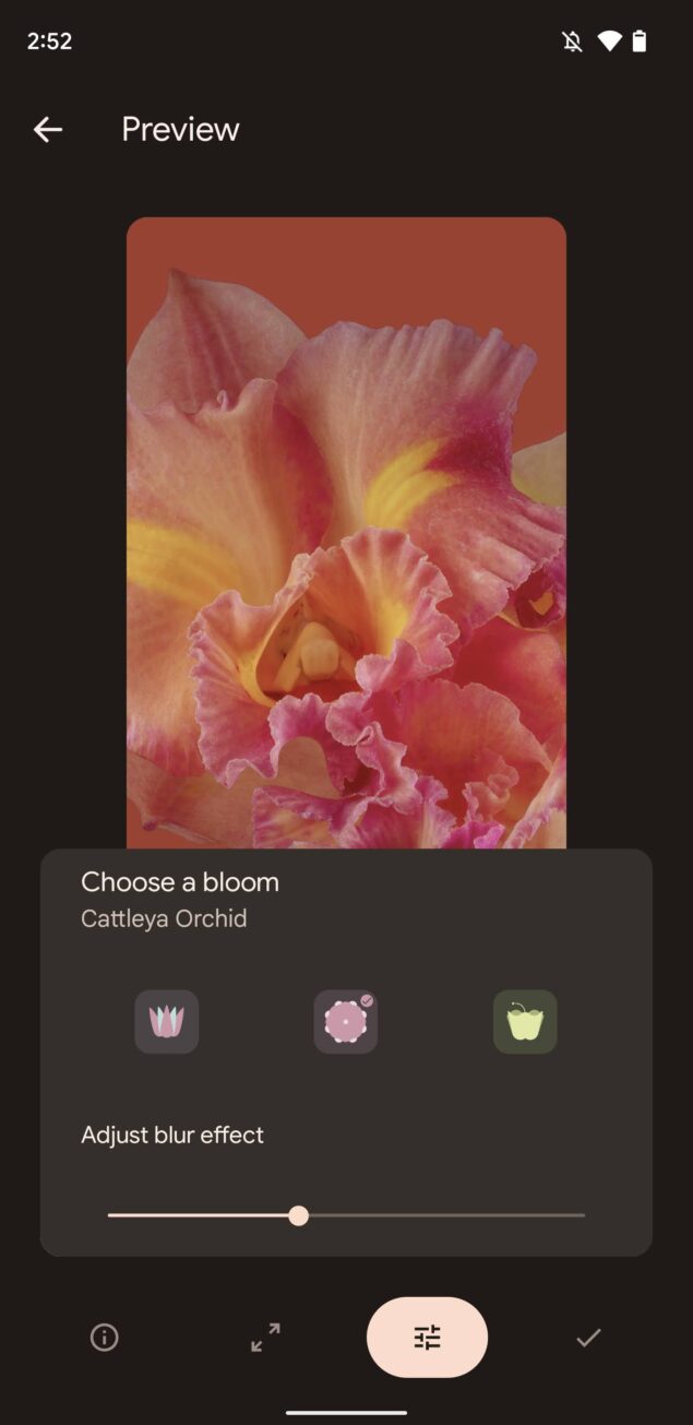 Google Pixel 6 Bloom