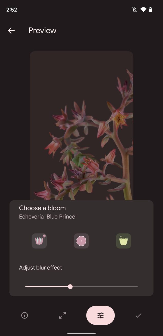 Google Pixel 6 Bloom