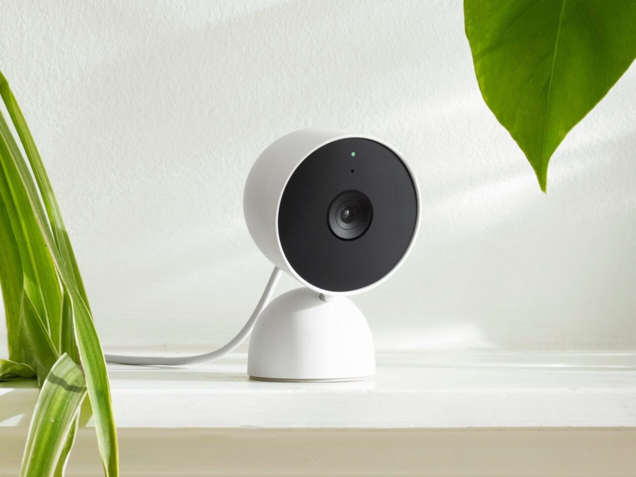 Una funzionalità delle Nest Cam è in arrivo nell'app Google Home