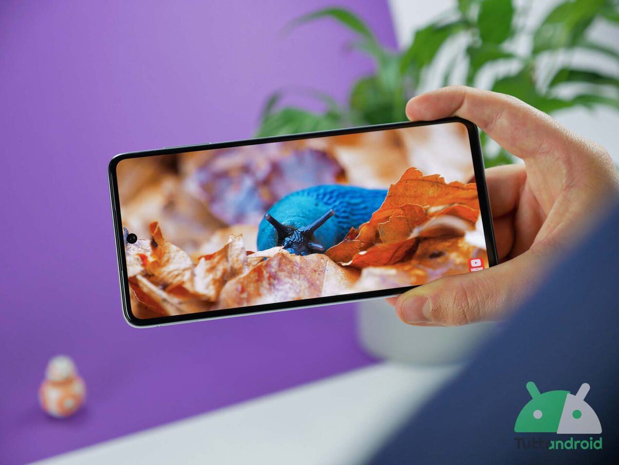 Novità per Samsung Galaxy M52 5G e A04s, ma si aggiorna anche Nest Wifi Pro