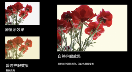 Xiaomi 12 Pro Natural Eye Protection