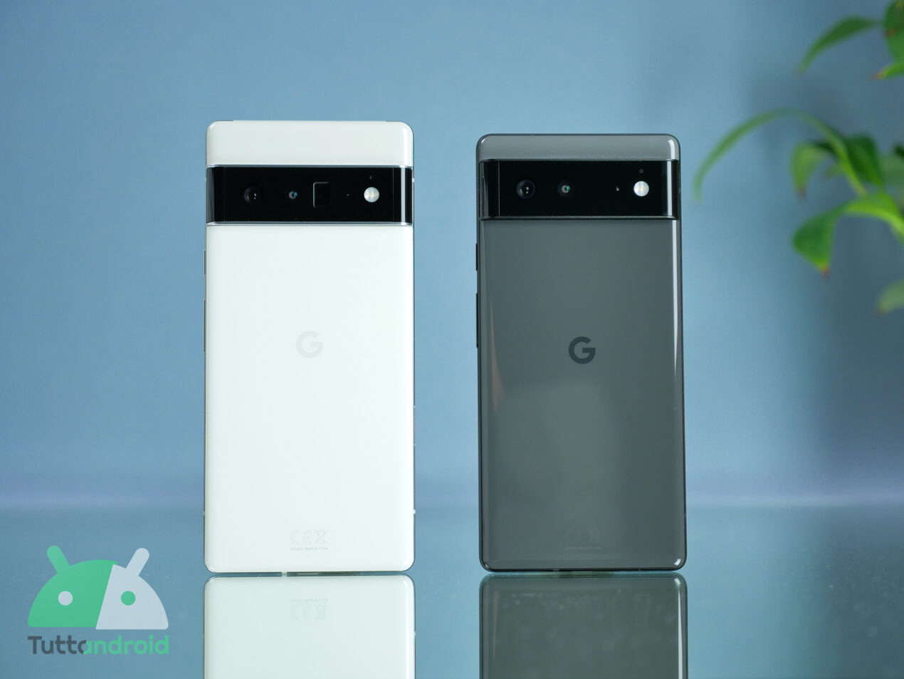 I vostri Google Pixel 6 e Pixel 6 Pro meritano delle cover di qualità: dove acquistarle